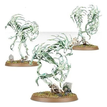 Warhammer: Age Of Sigmar: Nighthaunt: Spirit Hosts