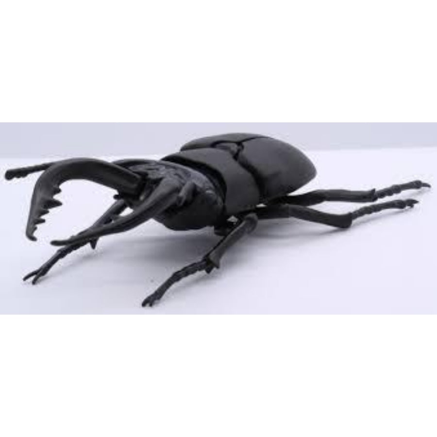 FUJIMI Biology Edition Stag Beetle [FI No.22] Plastic Model Kit