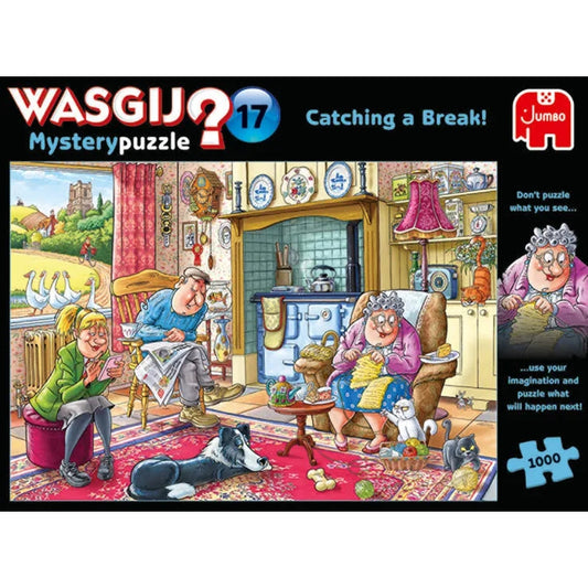 Wasgij Mystery 17 Catching a Break